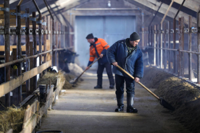 &laquo;Жизнь фермерских хозяйств не из легких&raquo;: почему в Татарстане снижается число КФХ
