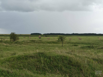 В Татарстане ожидаются ливни, грозы и потепление до +20 градусов