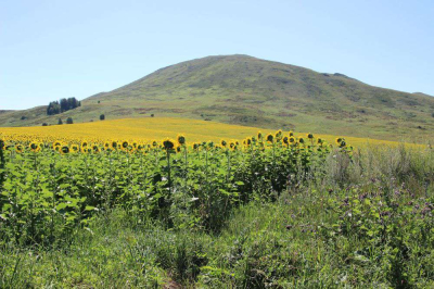 Переходят на водосбережение