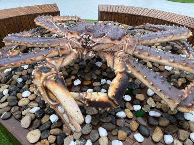 Сахалинцы заплатят огромный штраф за сбор крабов после шторма