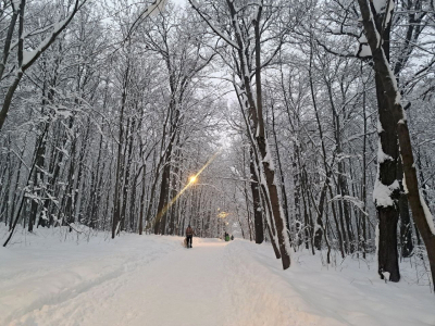 Синоптики сказали, что будет с погодой на Сахалине