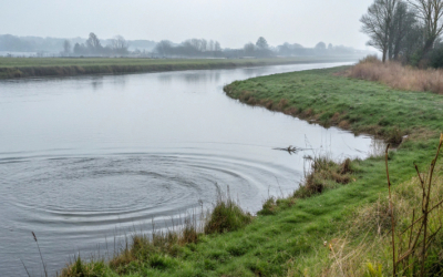 Мужчина спасал тонущего подростка и утонул вместе с ним