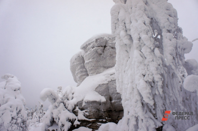 В прокуратуру передали координаты возможного местонахождения пропавшей семьи Усольцевых