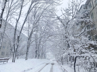 Снегопад растаял, обещания тоже: тротуары и остановки в Калуге остаются нечищеными