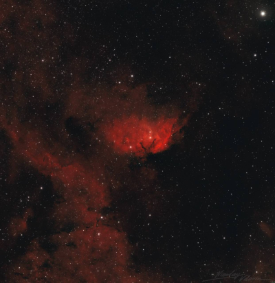 К 8 Марта Роскосмос опубликовал снимки букетов из звездной пыли