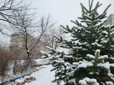 Синоптики рассказали, как начнется весна в Приморье: похолодает до &minus;30