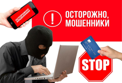 Полиция предупредила о мошенничестве в период новогодних праздников