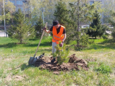 Не только посадить, но и вырастить