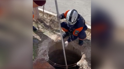 Спасение тонущего щенка в Кызылорде попало на видео