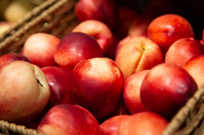 Роспотребнадзор призвал не&nbsp;есть сырые фрукты из-за вируса Нипах