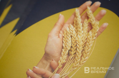 Россия отправила в Турцию 6,7 млн тонн зерна за семь месяцев