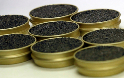 Более 30 килограммов икры пытались незаконно ввезти в Казахстан