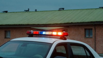 Мужчина избил девушку и запер её в фургоне с мертвыми собаками 10/02/2026 &ndash; Новости