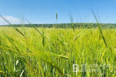 В 41 регионе России зафиксирован высокий риск лесных пожаров