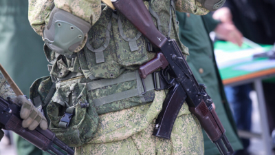 Российские военные спасли котенка, выжившего после двух ударов БПЛА в зоне СВО 06/07/2026 &ndash; Новости