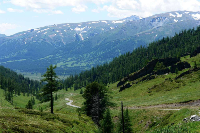 Ремонт пяти мостов начали на популярном туристическом маршруте в ВКО