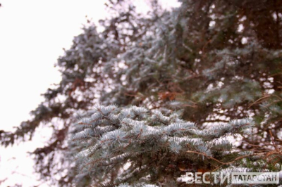 В Татарстане ожидается до -13 градусов