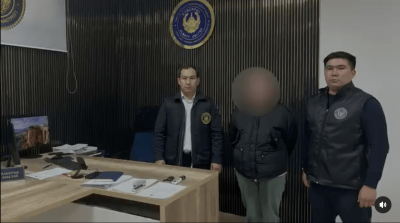 В Конаеве задержали мошенницу, собиравшую деньги &quot;на лечение ребенка&quot;