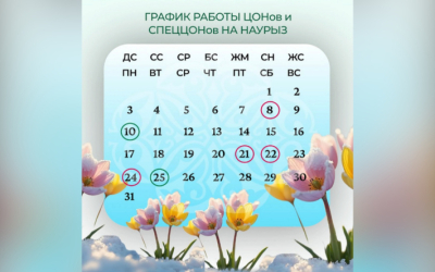 Как будут работать ЦОНы и спецЦОНы на Наурыз