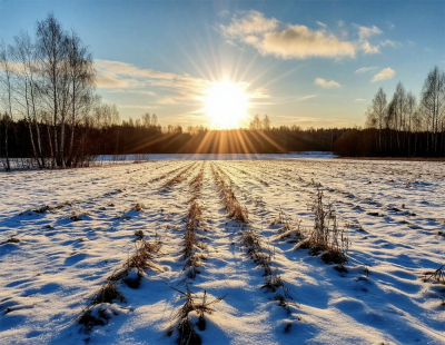 Синоптик Макарова: похолодания в Москве после 8 марта не будет