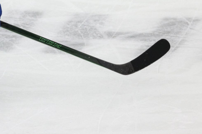 Хоккейных судей отстранили от работы за скандальное поведение