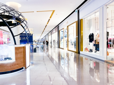 Дмитриев назвал прогулку президента ОАЭ по Dubai Mall &laquo;сильным посланием&raquo;