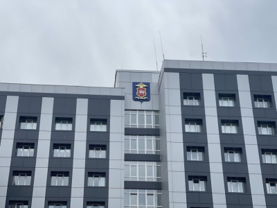 Крупная недостача: челнинка вынесла из чужой квартиры технику на 25 тысяч